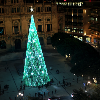 árvore de natal do porto